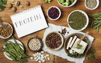 Protein Rich Recipes for Cancer Recovery: Nourishing Your Body During Healing