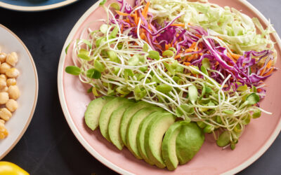 High-Calorie, Easy to Digest Foods for Pancreatic Cancer Patients